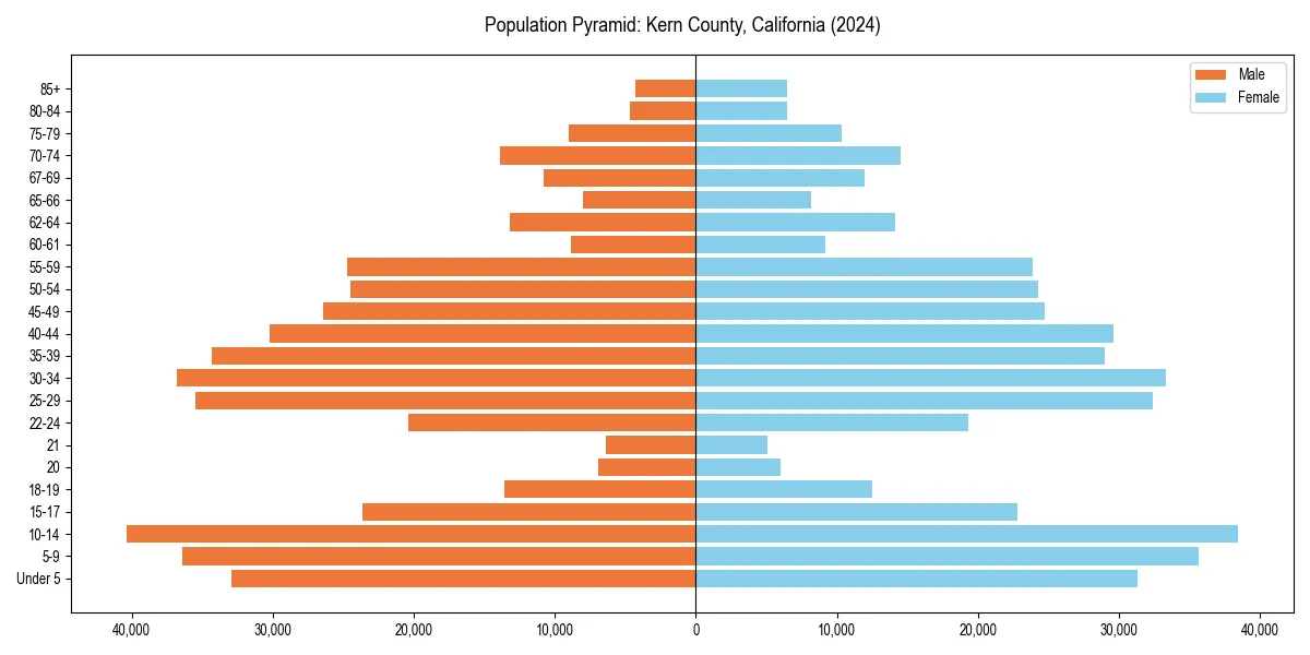 Population pyramid for 