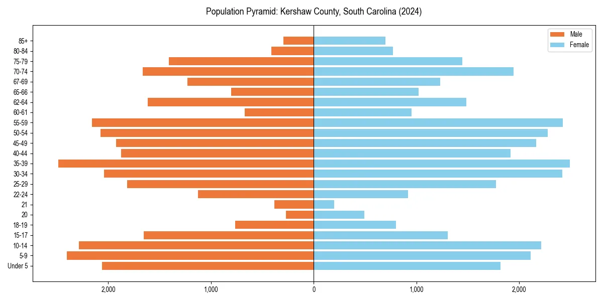 Population pyramid for 