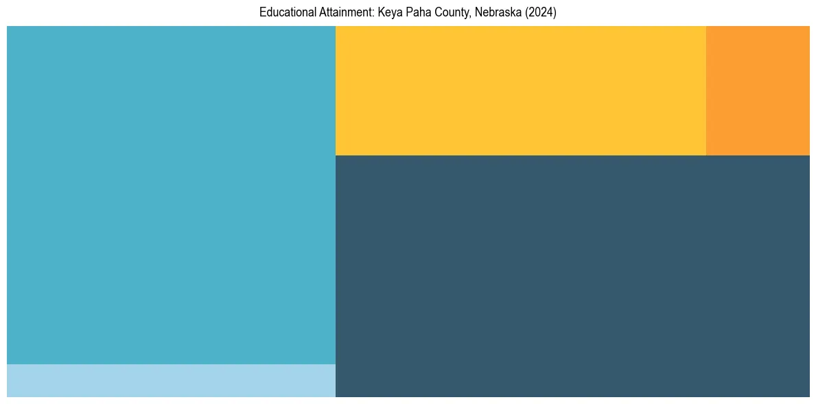 Education Treemap for  in 2024