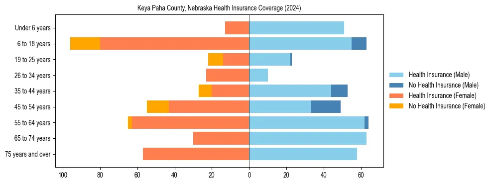 Health insurance pyramid for Keya Paha County, Nebraska