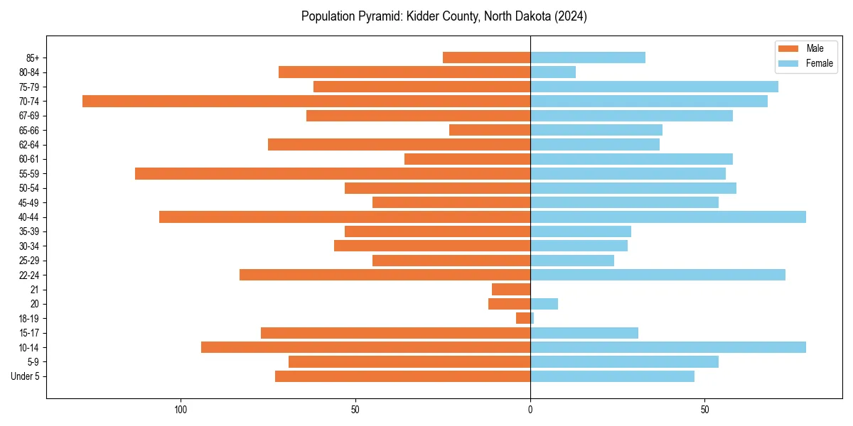 Population pyramid for 