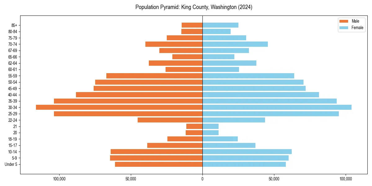Population pyramid for 