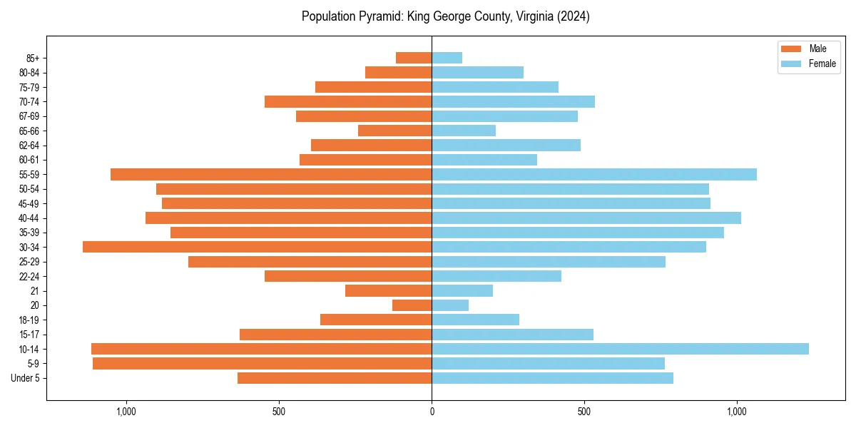 Population pyramid for 