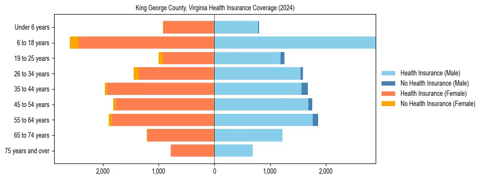 Health insurance pyramid for King George County, Virginia