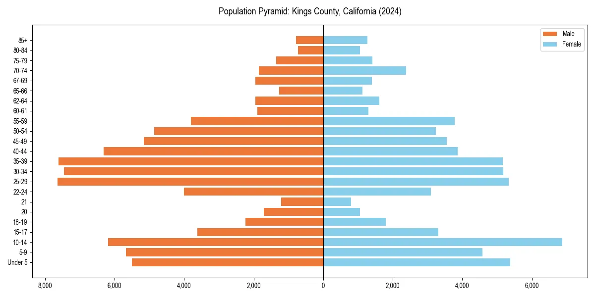 Population pyramid for 