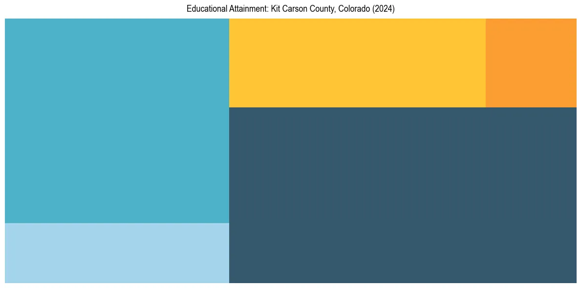 Education Treemap for  in 2024
