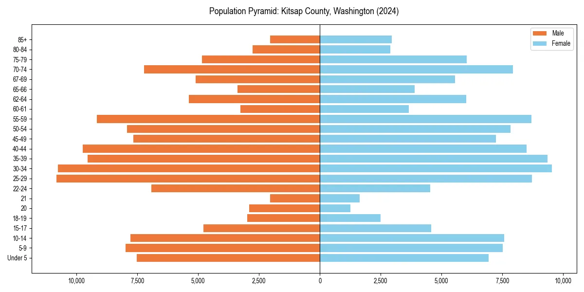 Population pyramid for 