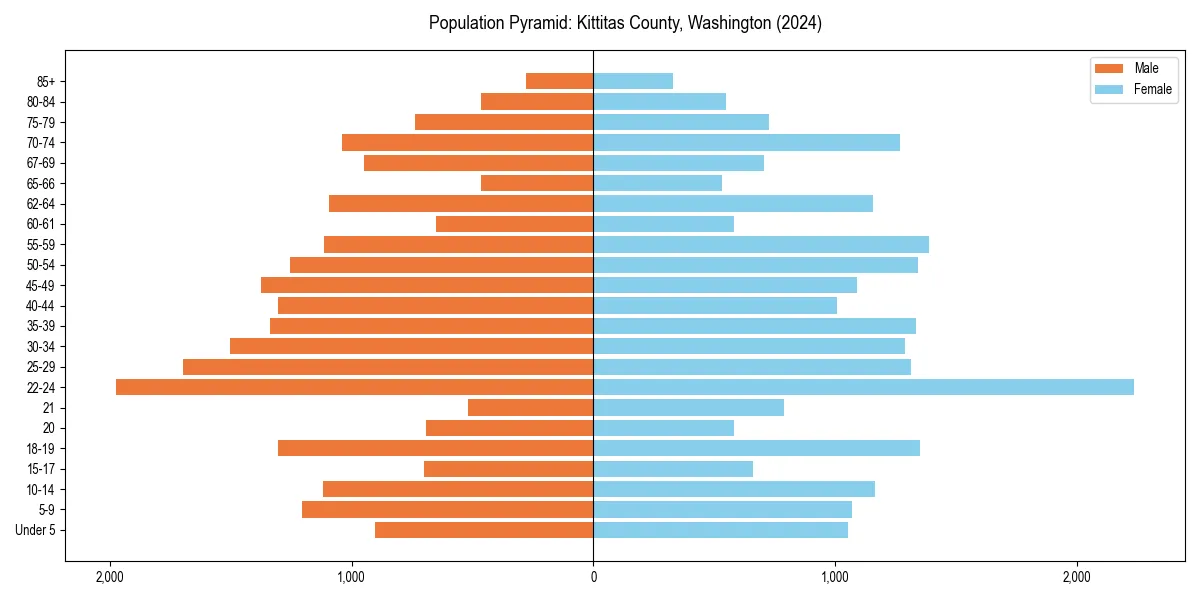 Population pyramid for 
