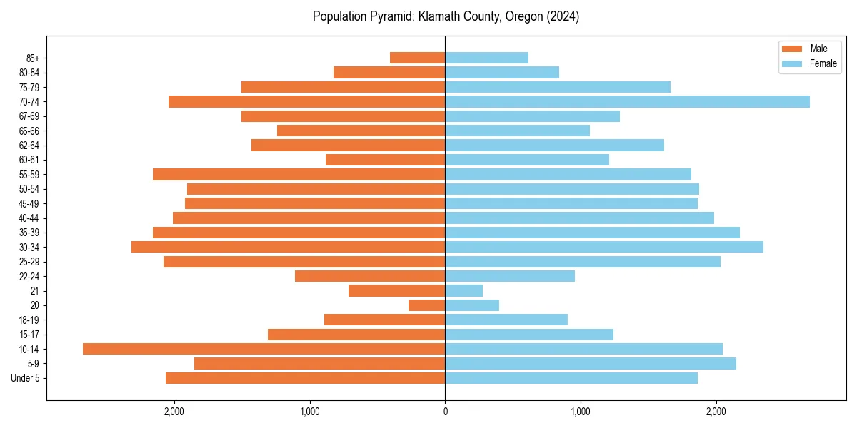 Population pyramid for 
