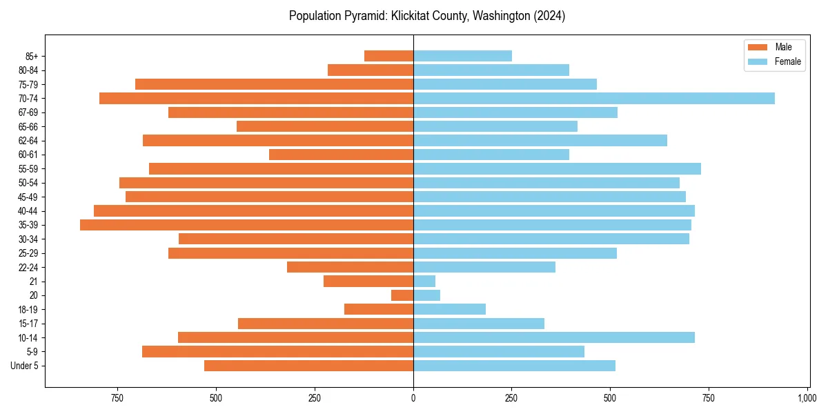 Population pyramid for 