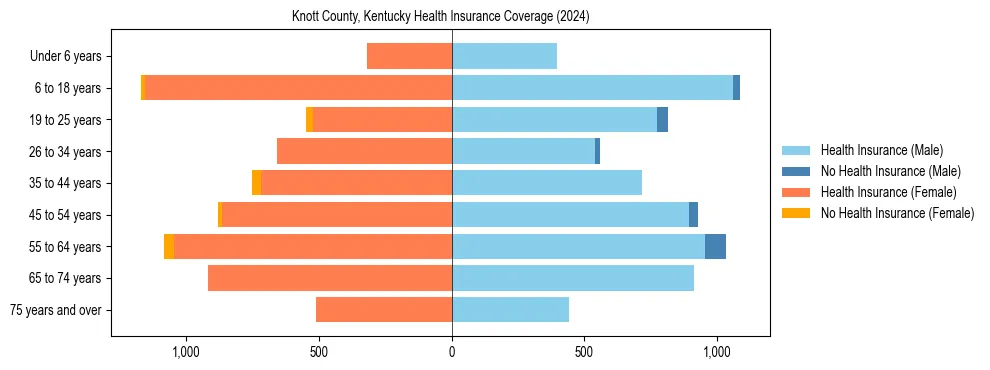 Health insurance pyramid for Knott County, Kentucky