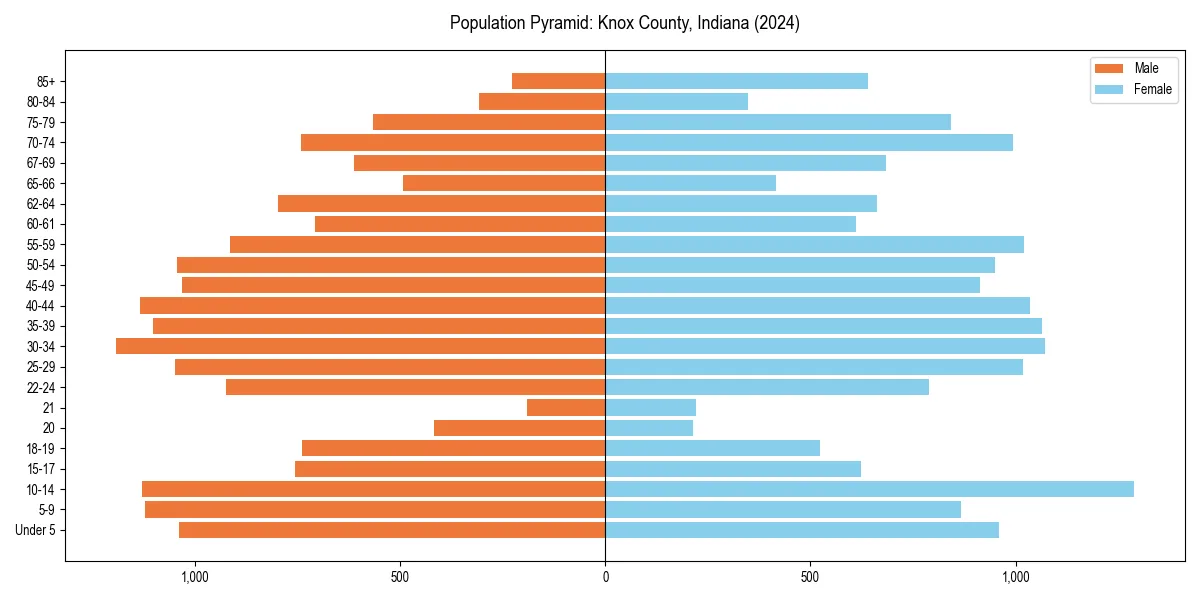Population pyramid for 