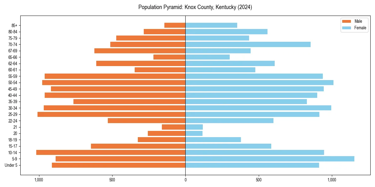 Population pyramid for 
