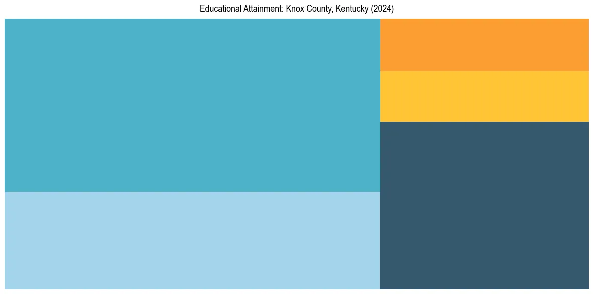 Education Treemap for  in 2024