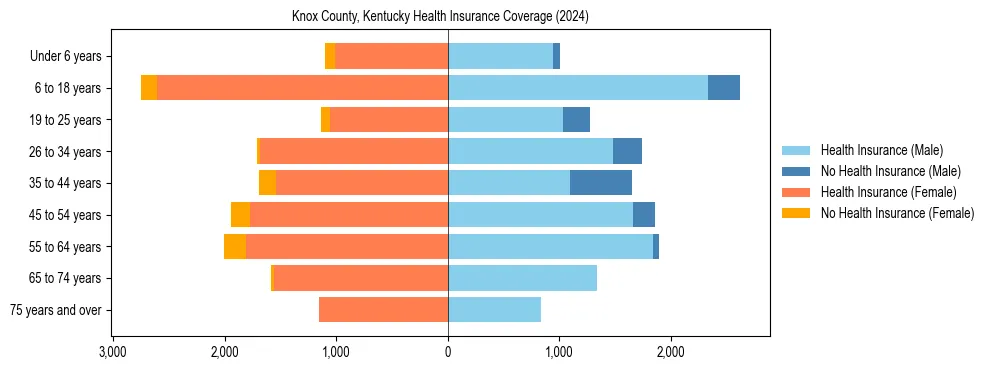Health insurance pyramid for Knox County, Kentucky