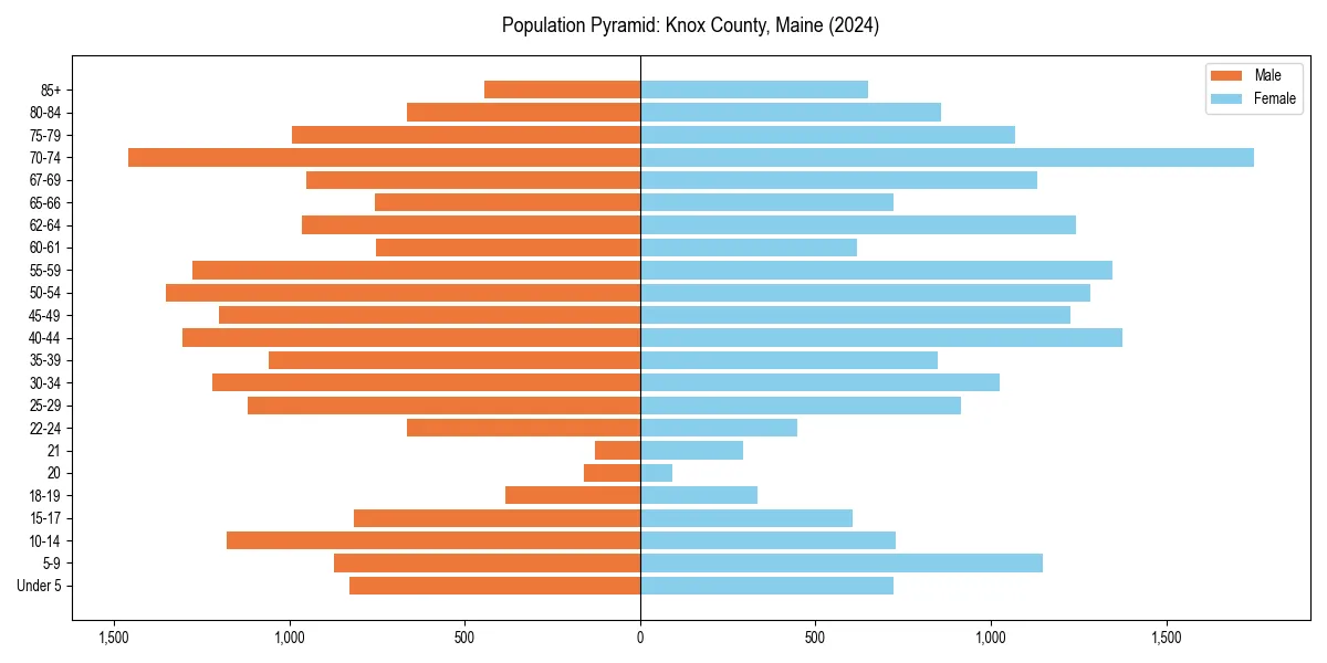 Population pyramid for 