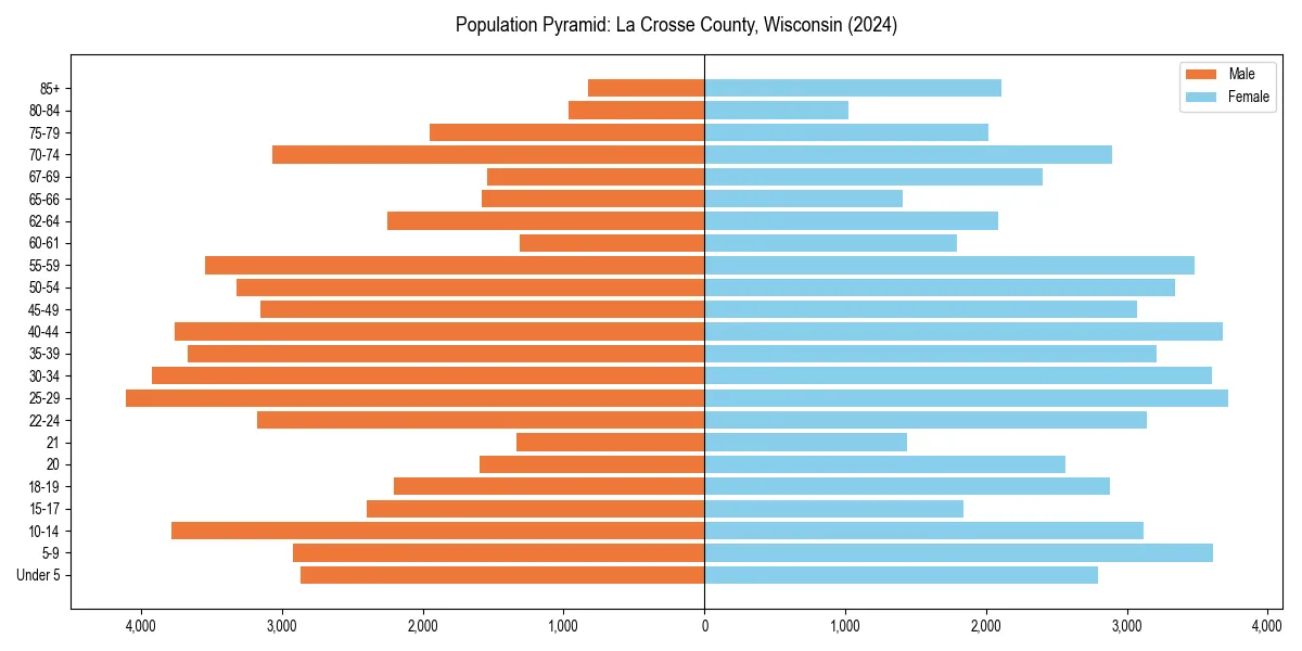 Population pyramid for 
