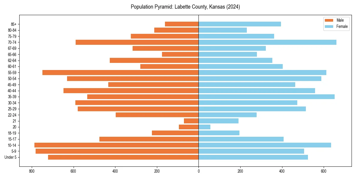 Population pyramid for 
