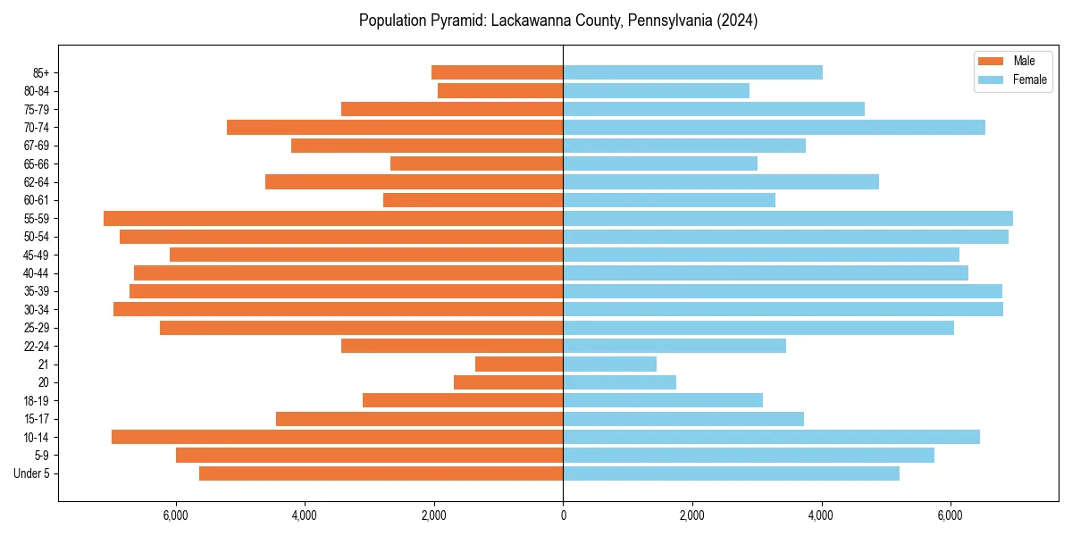 Population pyramid for 