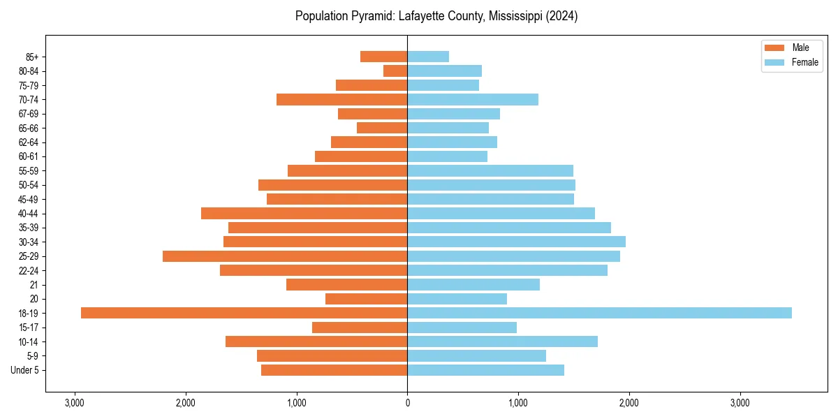 Population pyramid for 
