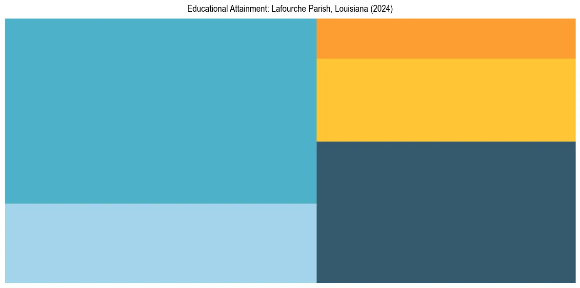 Education Treemap for  in 2024