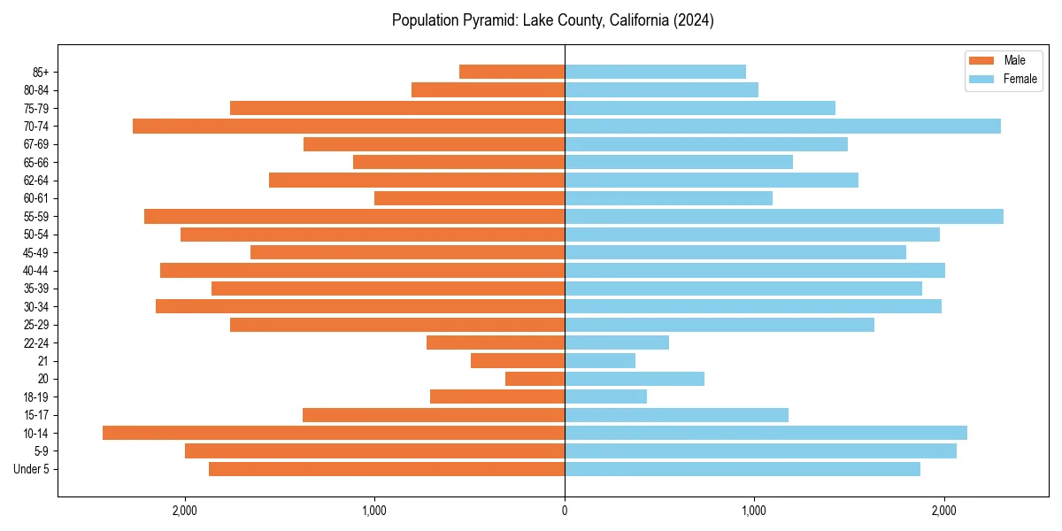 Population pyramid for 