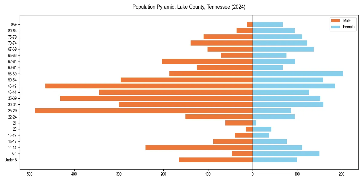 Population pyramid for 