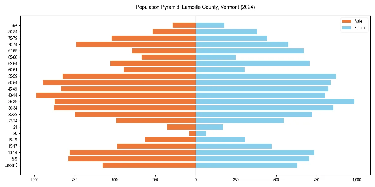 Population pyramid for 