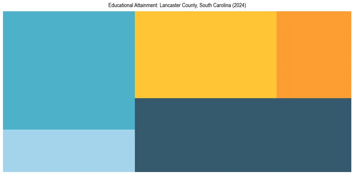 Education Treemap for  in 2024