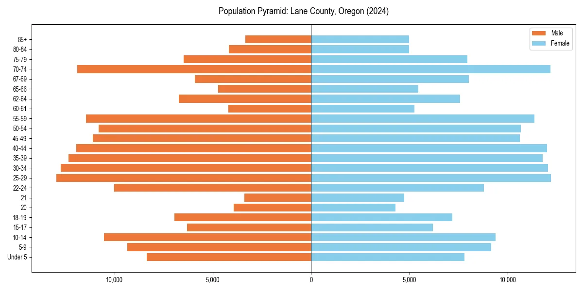 Population pyramid for 