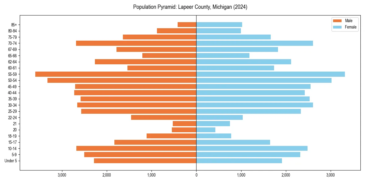Population pyramid for 
