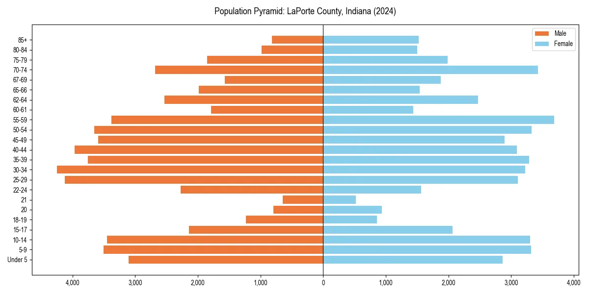 Population pyramid for 