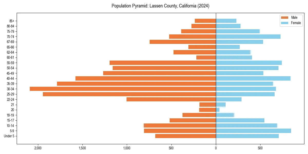Population pyramid for 