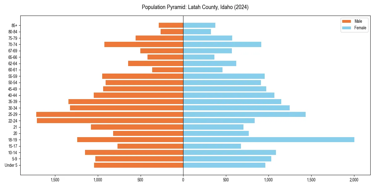 Population pyramid for 