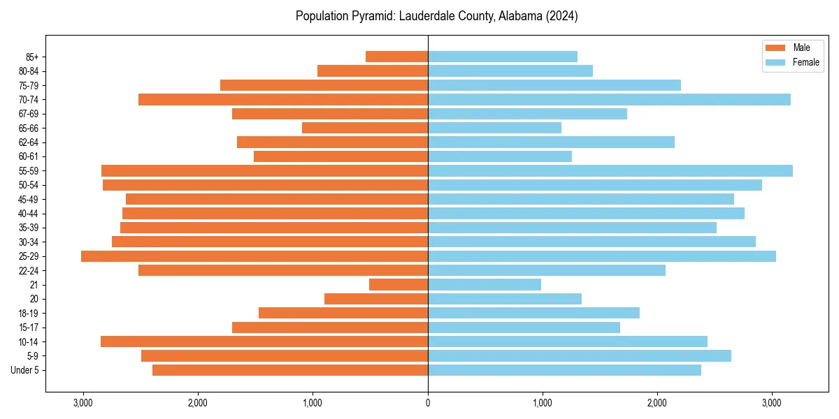 Population pyramid for 