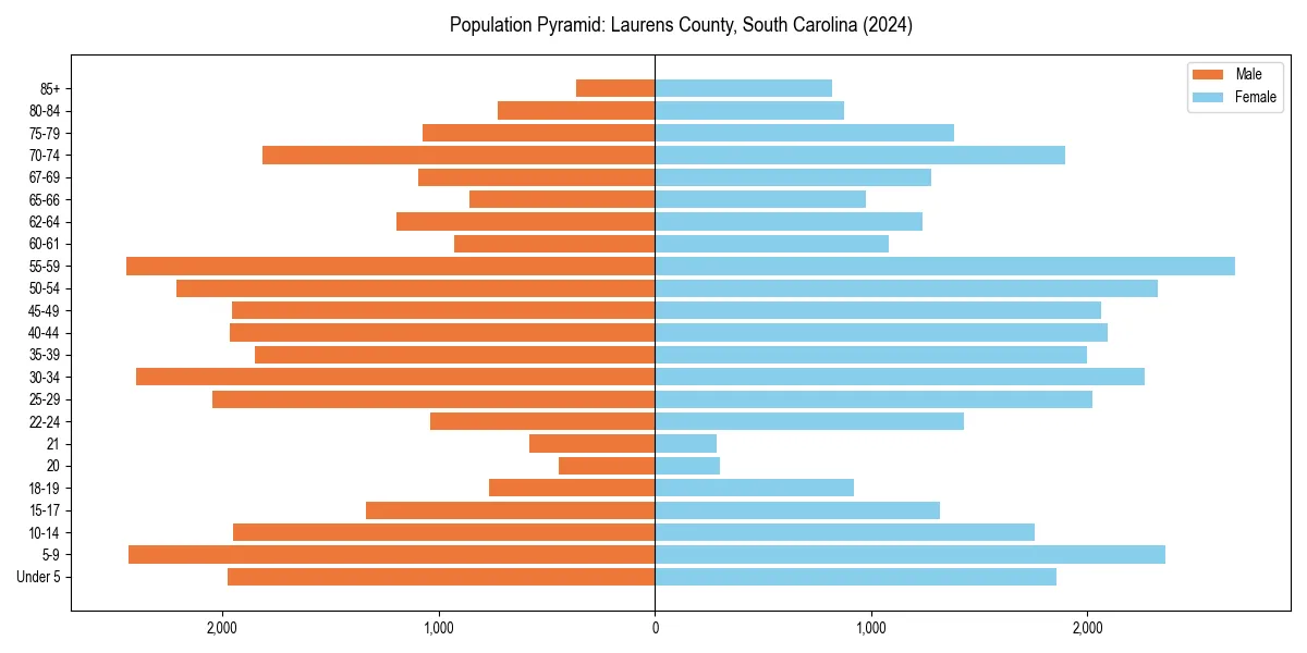 Population pyramid for 