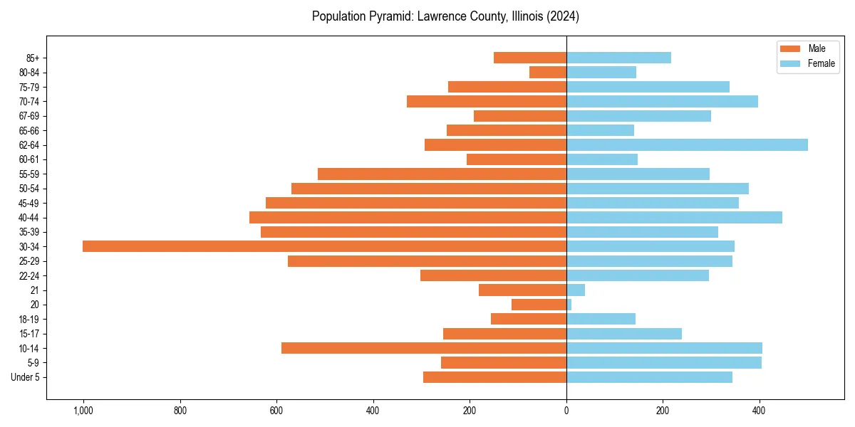 Population pyramid for 