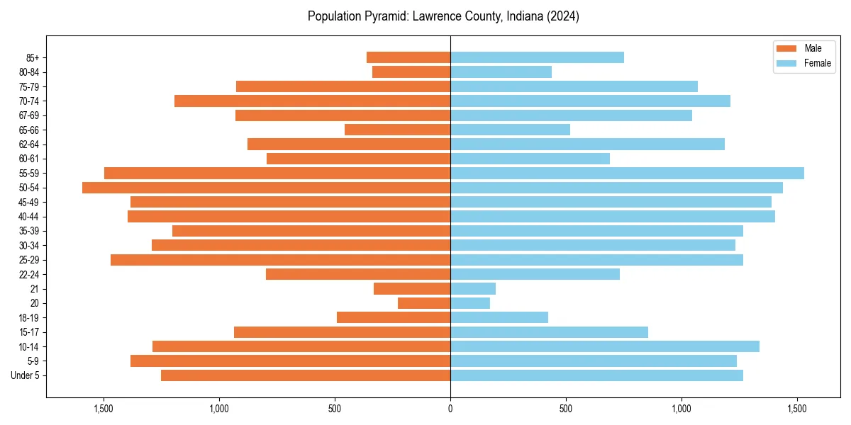 Population pyramid for 