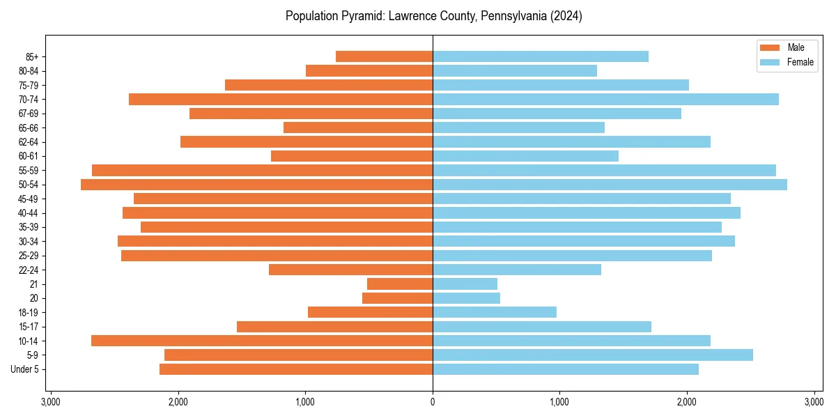 Population pyramid for 
