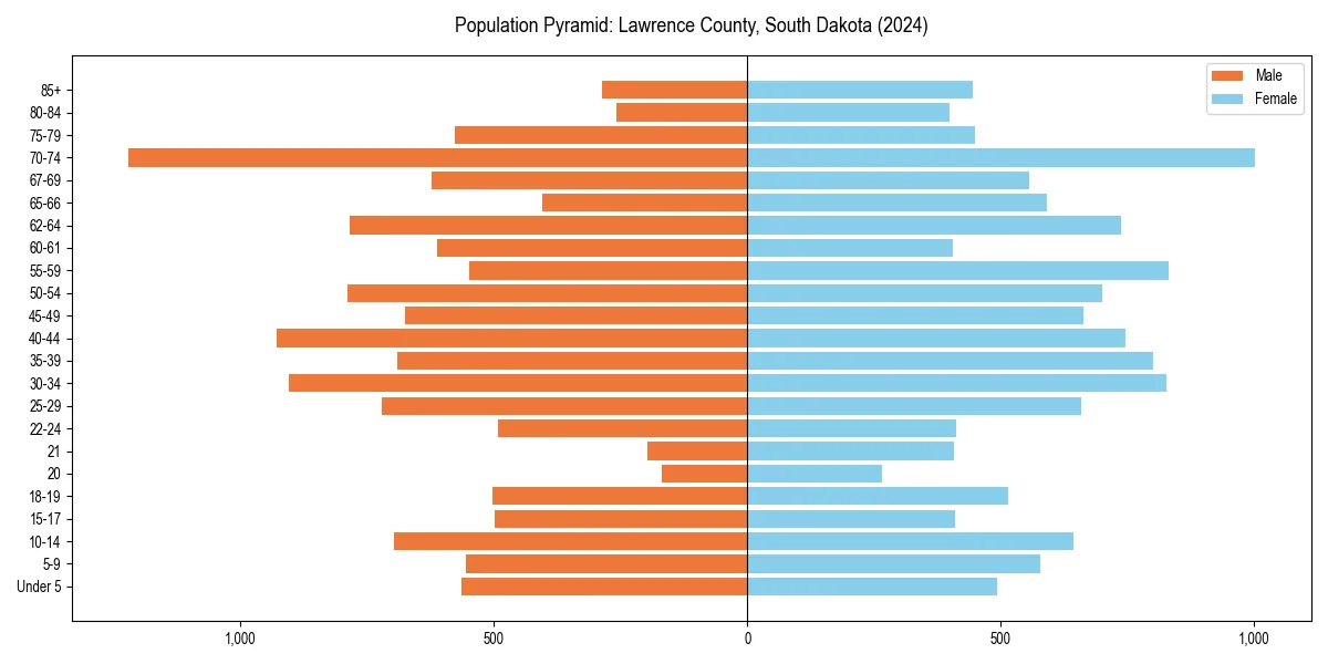 Population pyramid for 