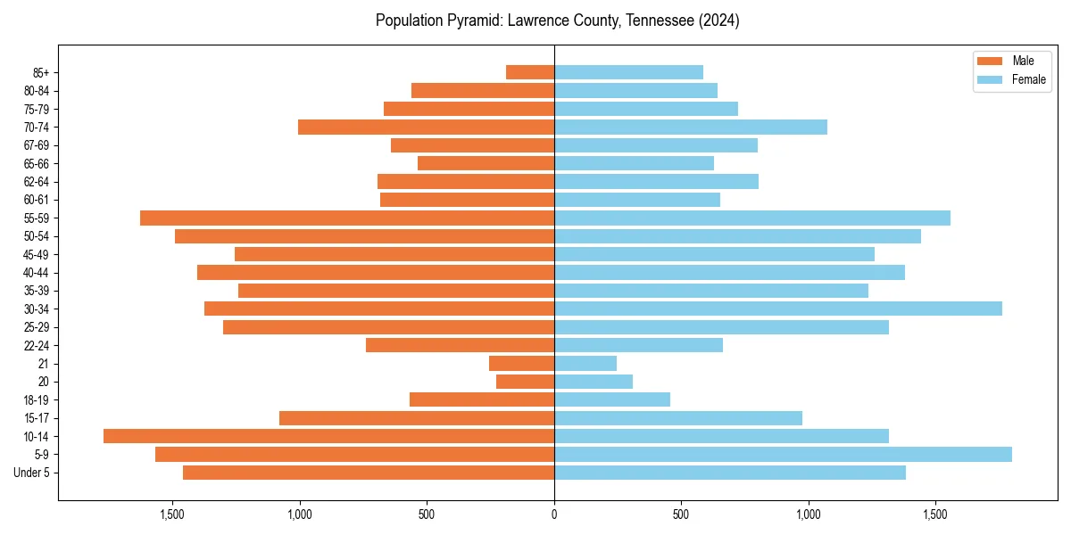 Population pyramid for 