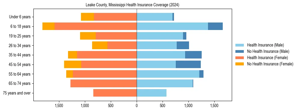 Health insurance pyramid for Leake County, Mississippi