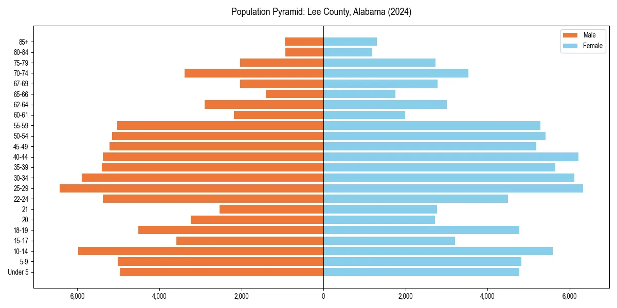 Population pyramid for 