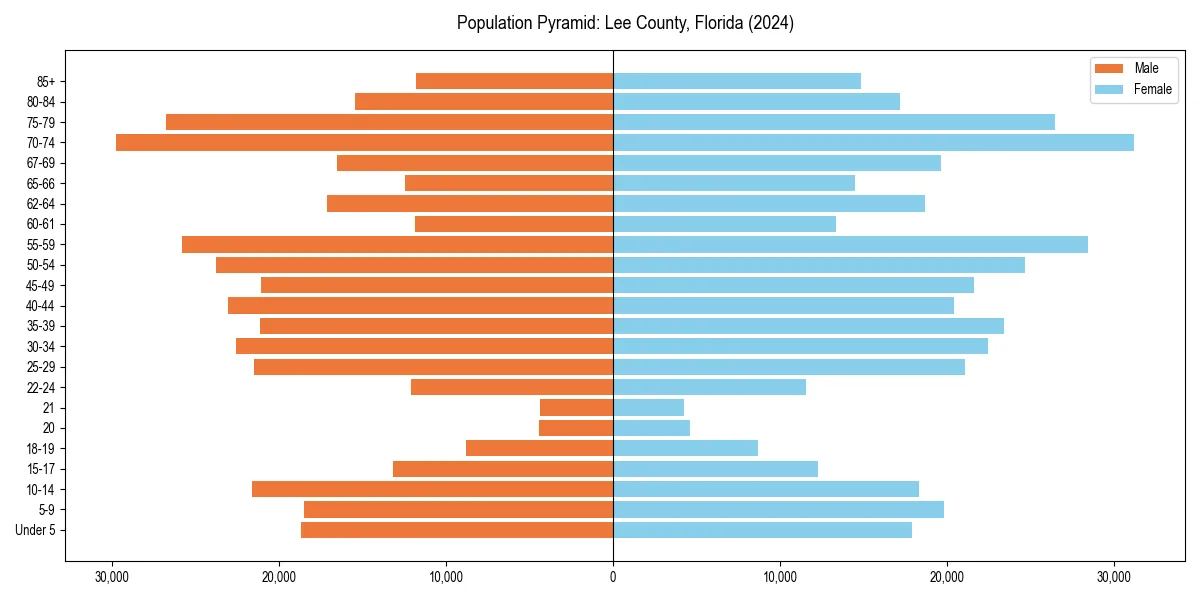 Population pyramid for 