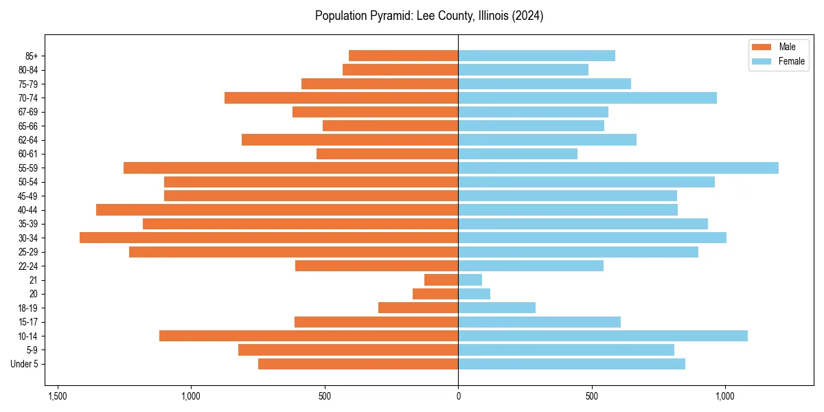 Population pyramid for 