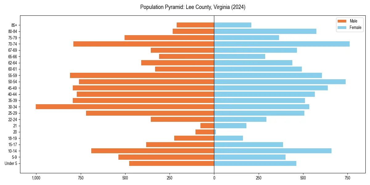 Population pyramid for 