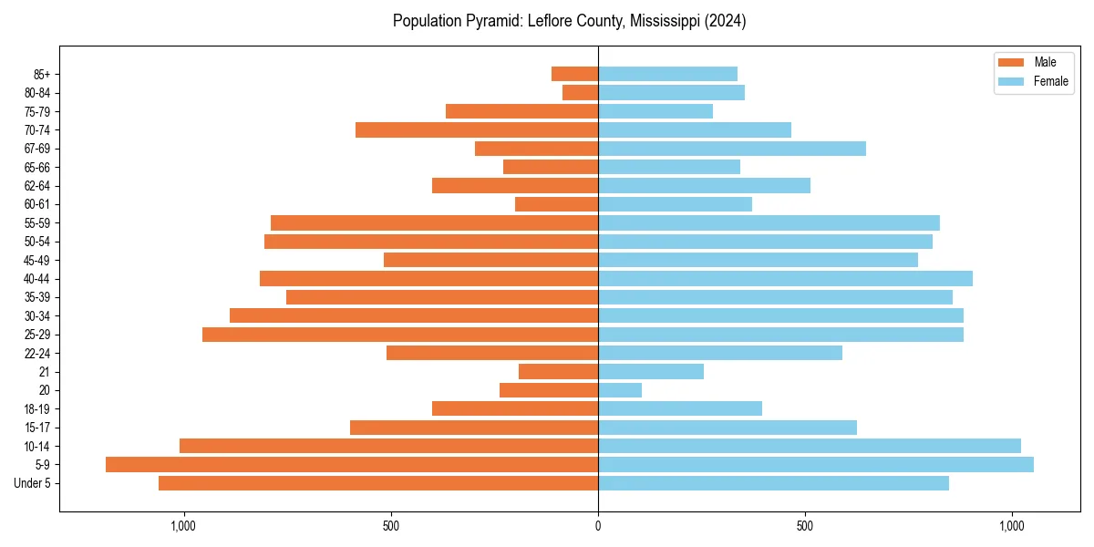 Population pyramid for 
