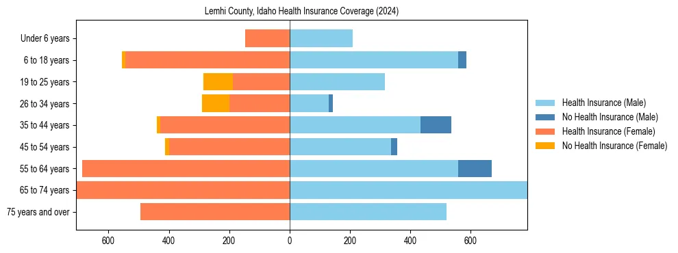 Health insurance pyramid for Lemhi County, Idaho