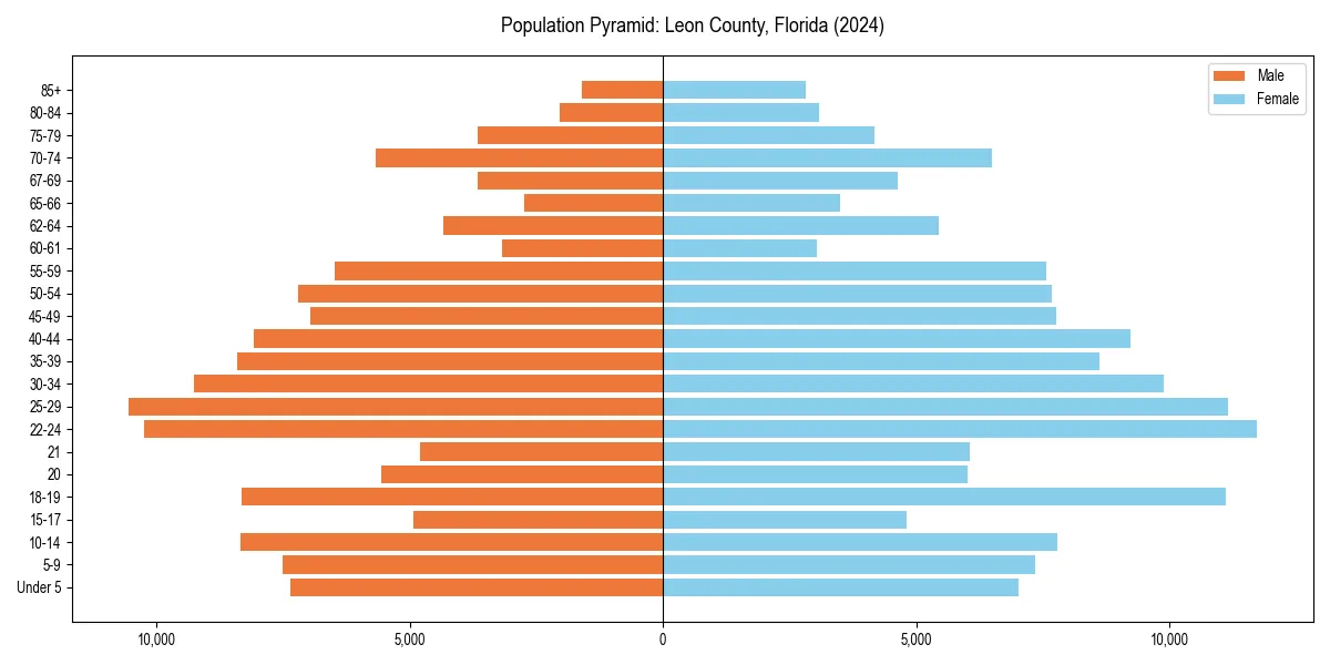Population pyramid for 