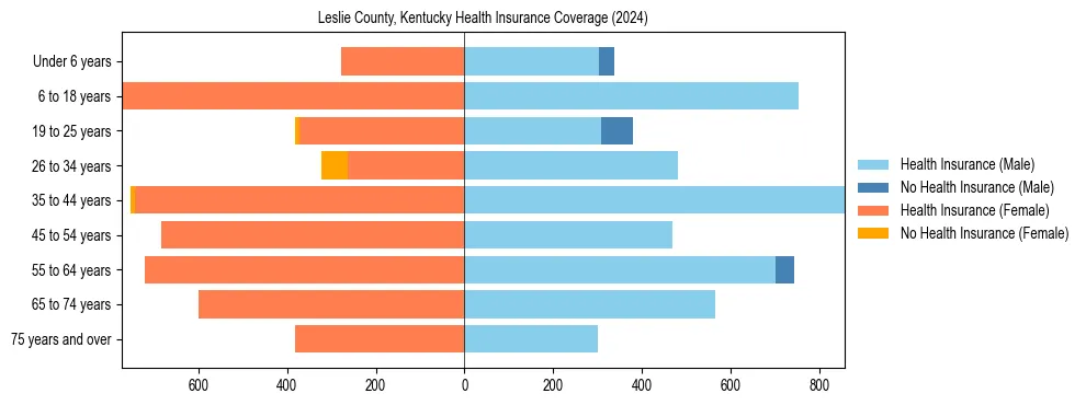 Health insurance pyramid for Leslie County, Kentucky